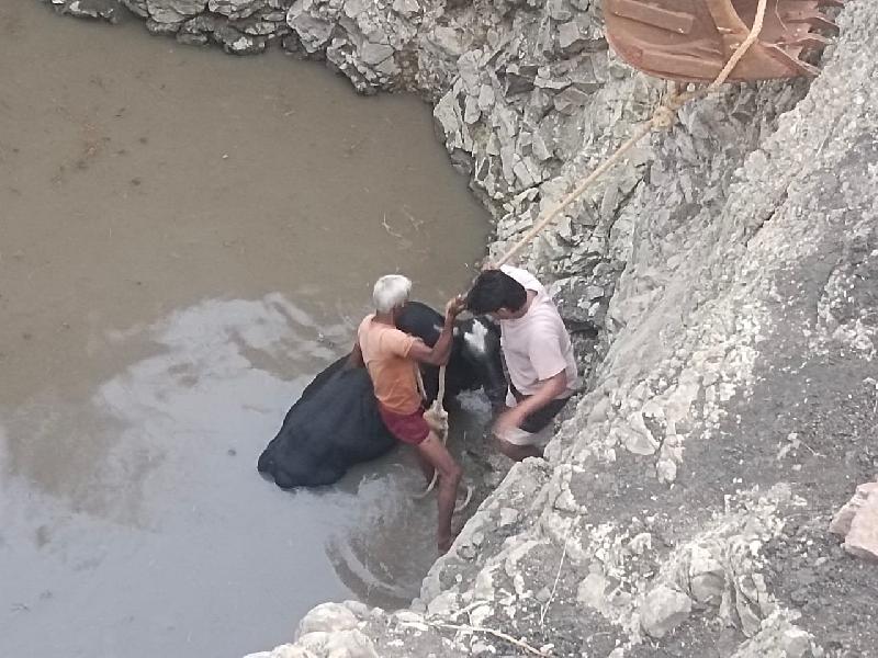शहर:
