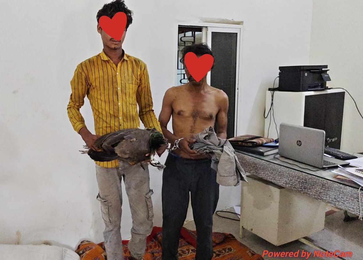 शहर: