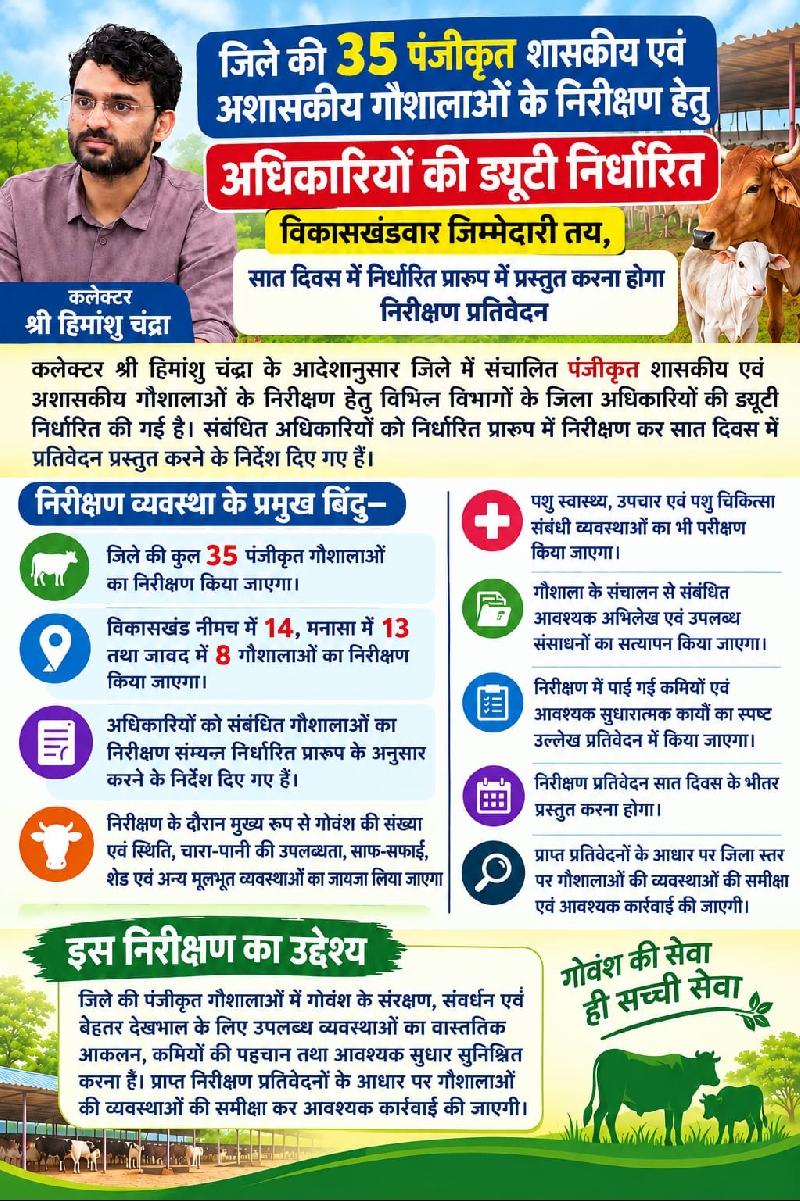 शहर: